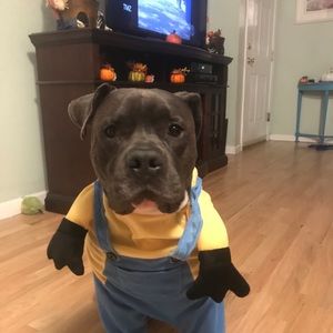 Meet your Posher, James